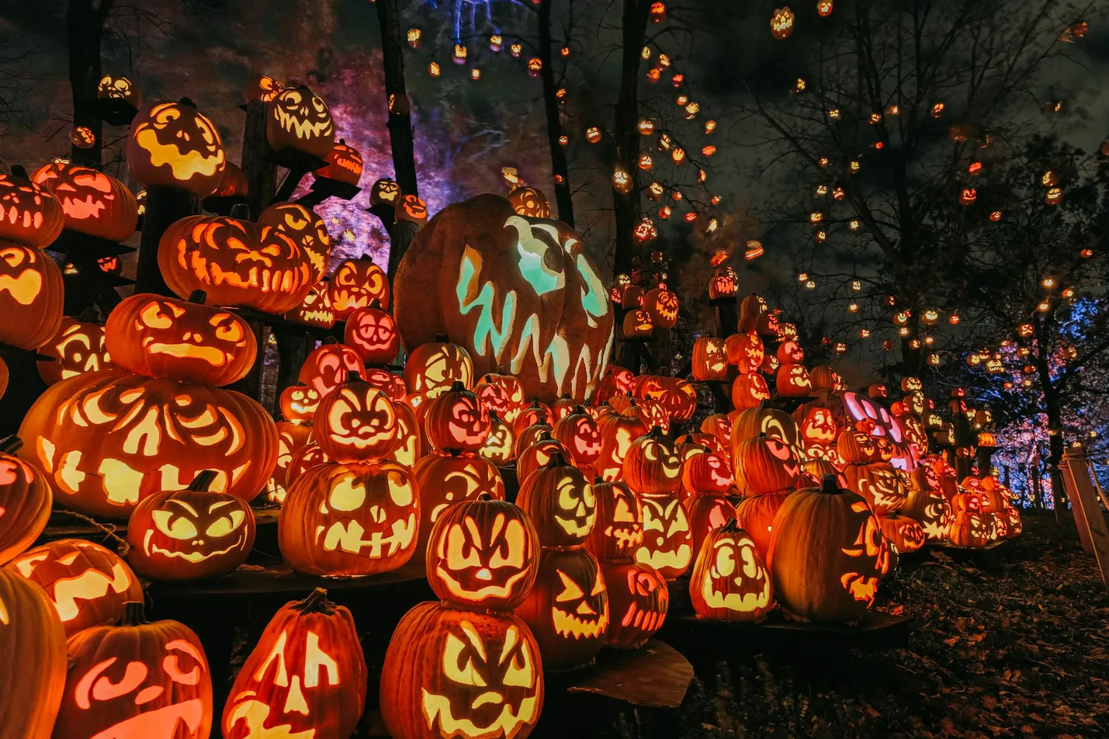 Jack-O-Lantern Spectacular Adult Night