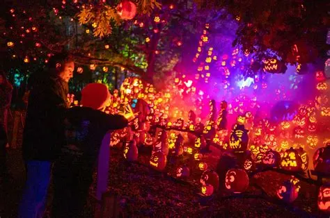 Jack-O-Lantern Spectacular Adult Night