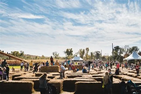 Sever's Fall Festival