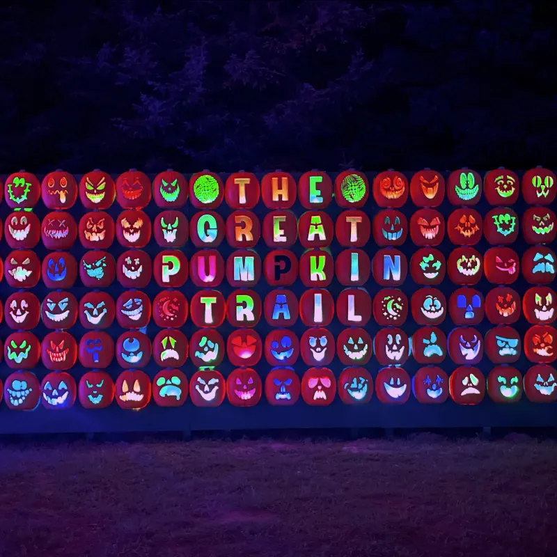 The Great Pumpkin Trail