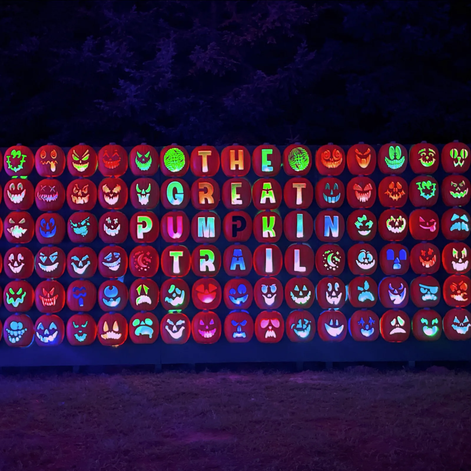 The Great Pumpkin Trail