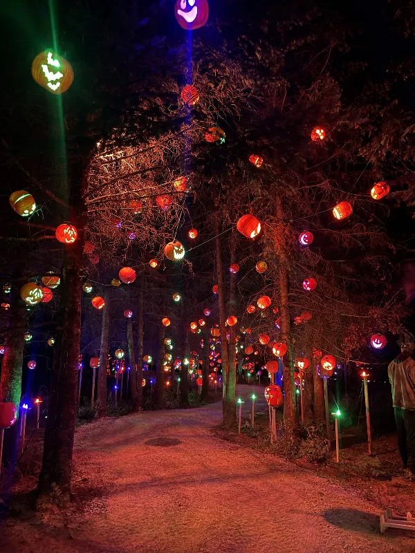 The Great Pumpkin Trail