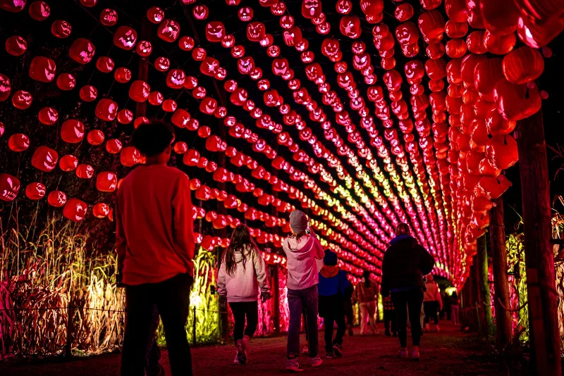 The Great Pumpkin Trail
