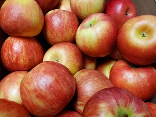 Afton Apple Orchard