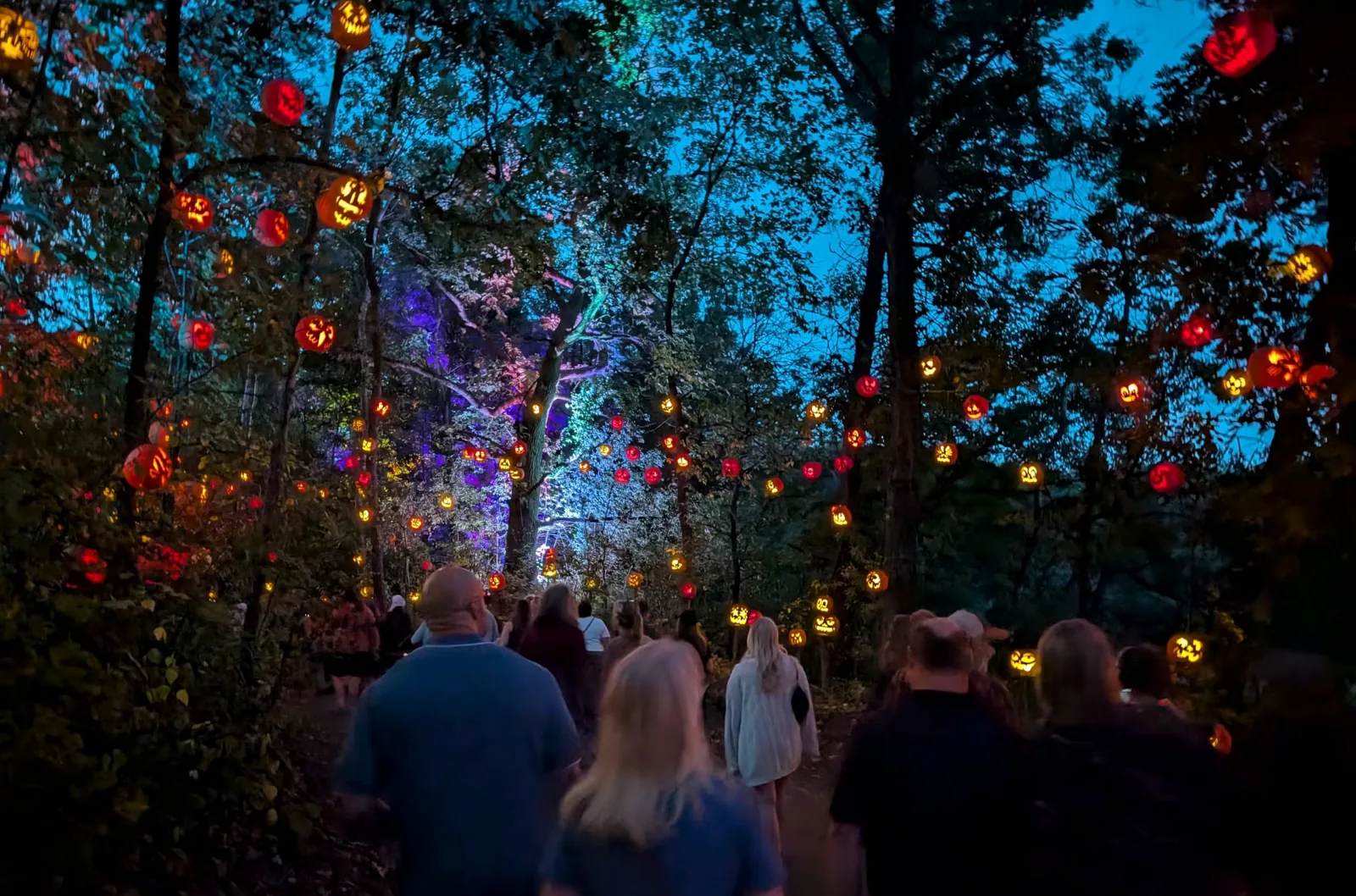 The Minnesota Zoo’s artist-crafted Jack-O-Lantern Spectacular returns this month